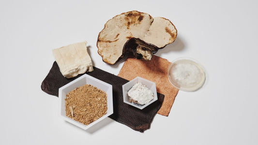 Would You Wear a Purse Made of Mushrooms?