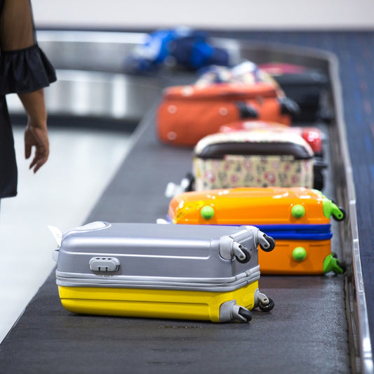 Happy National Shop for Travel Day!
