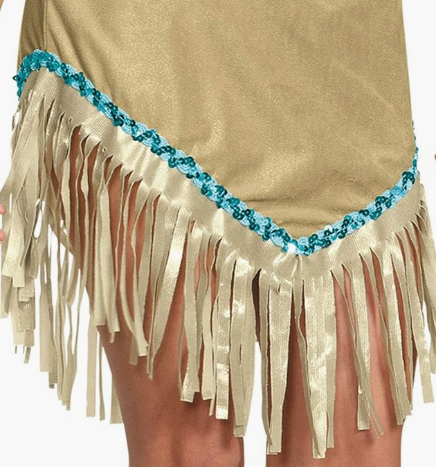 Native American Princess Costume